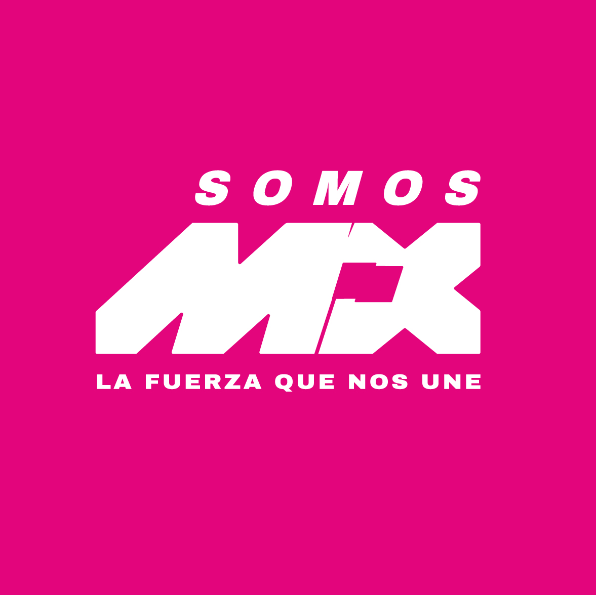 PARTIDO SOMOS MÉXICO